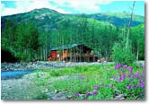 Park Tour - Denali Backcountry Adventure